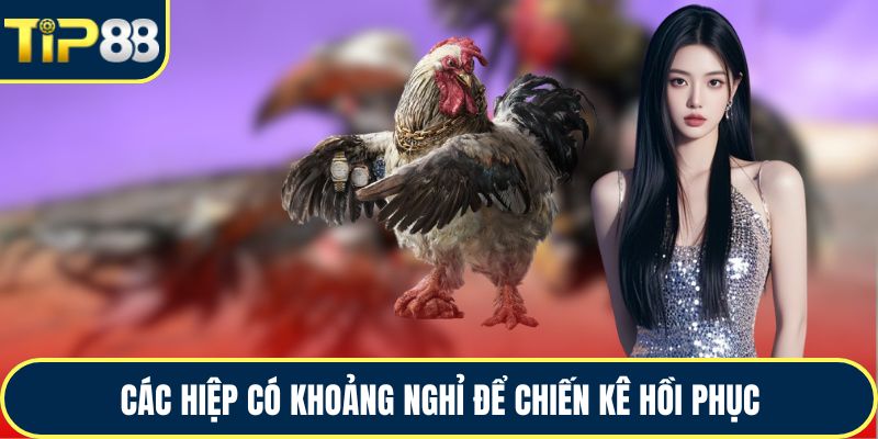 Các hiệp có khoảng nghỉ để chiến kê hồi phục