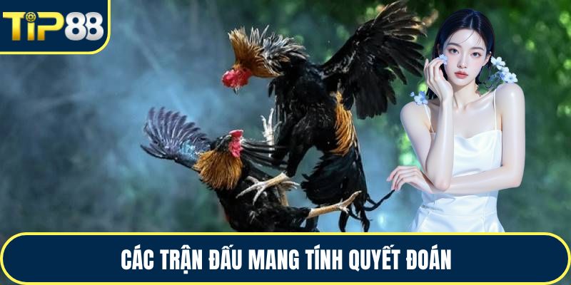 Các trận đấu mang tính quyết đoán