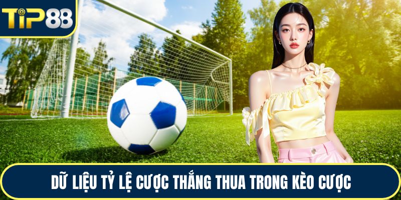 Dữ liệu tỷ lệ cược thắng thua trong kèo cược