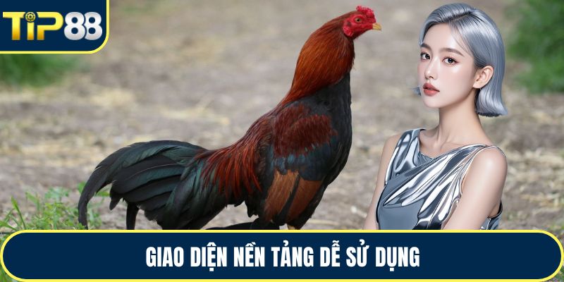 Giao diện nền tảng dễ sử dụng