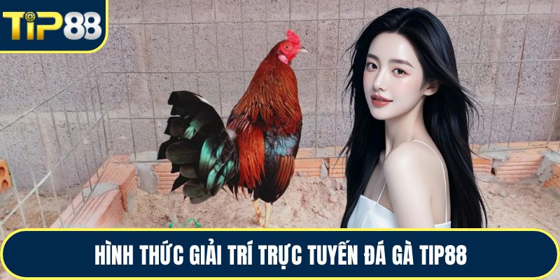 Hình thức giải trí trực tuyến đá gà TIP88