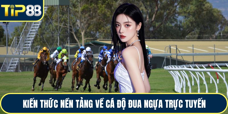 Kiến thức nền tảng về cá độ đua ngựa trực tuyến