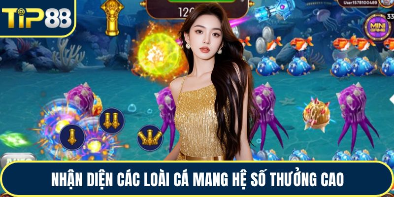 Nhận diện các loài cá mang hệ số thưởng cao