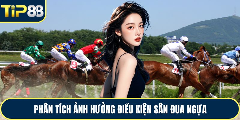 Phân tích ảnh hưởng điều kiện sân đua ngựa