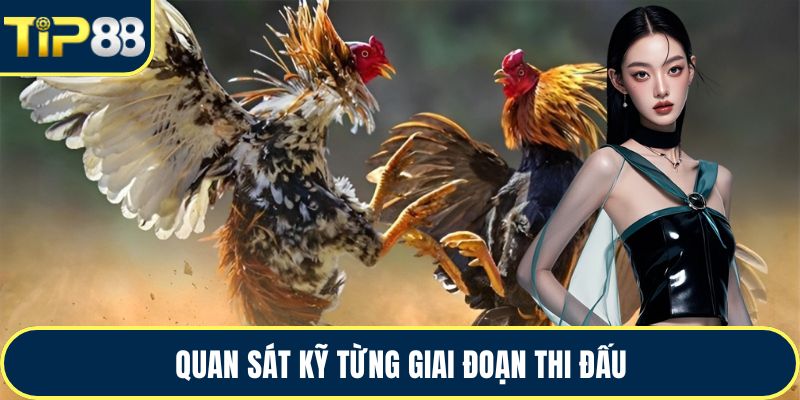 Quan sát kỹ từng giai đoạn thi đấu