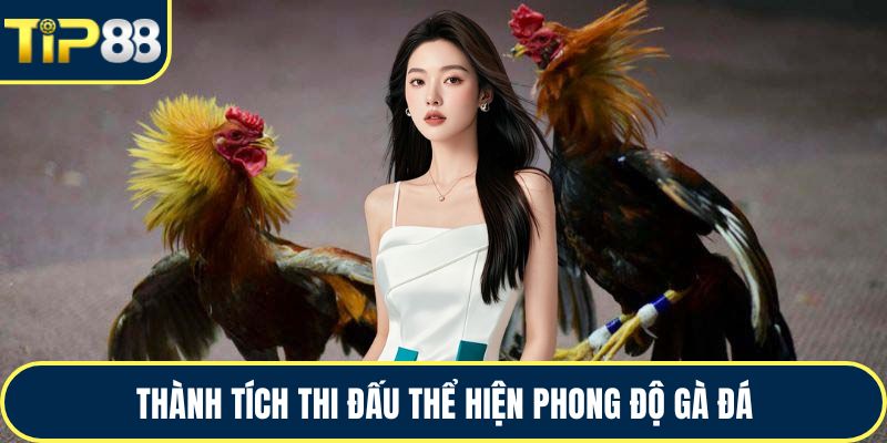 Thành tích thi đấu thể hiện phong độ gà đá