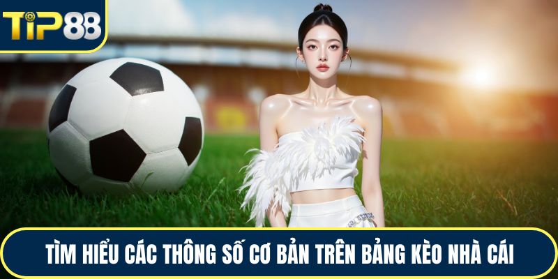 Tìm hiểu các thông số cơ bản trên bảng kèo nhà cái