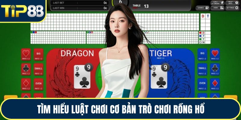 Tìm hiểu luật chơi cơ bản trò chơi rồng hổ