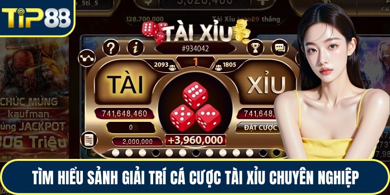 Tìm hiểu sảnh giải trí cá cược tài xỉu chuyên nghiệp