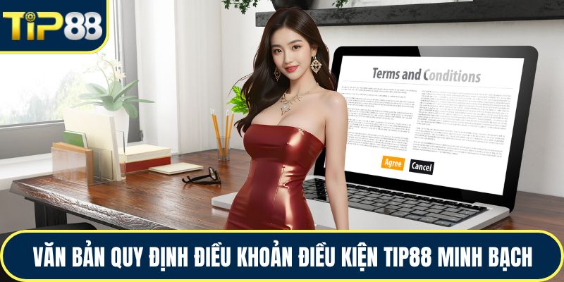 Văn bản quy định điều khoản điều kiện TIP88 minh bạch